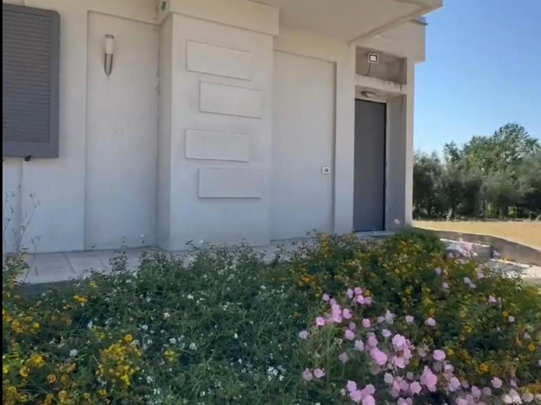 Gramp House Casa Vacanze Cellole Exterior photo